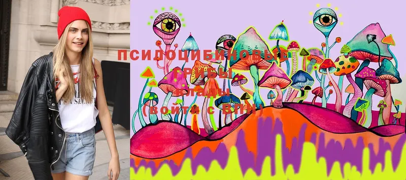 Псилоцибиновые грибы MAGIC MUSHROOMS  наркота  Мантурово 